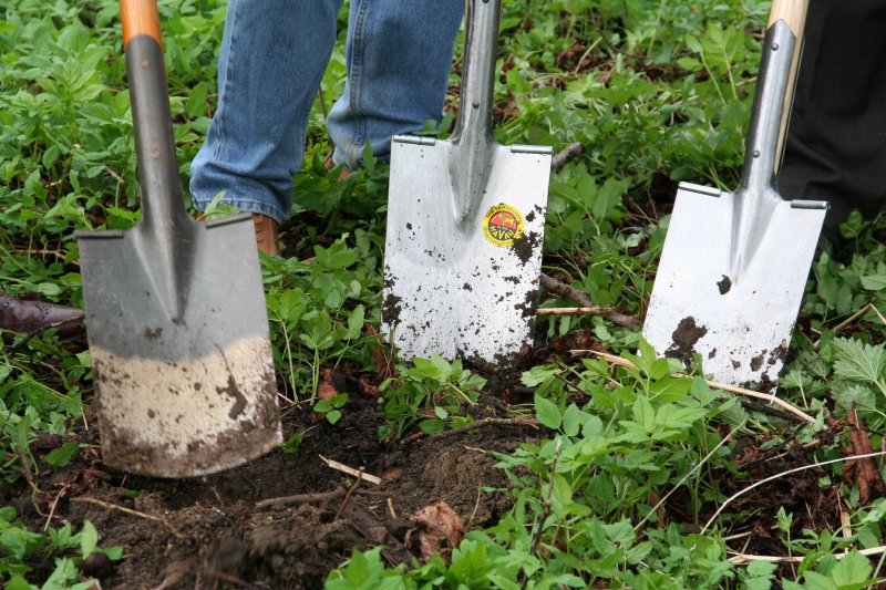 pepiniere-SAUZE-min_work-lawn-flower-tool-green-backyard-1103633-pxhere.com